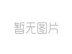 數智賦能自貿，中建材信息與伙伴共啟新篇
